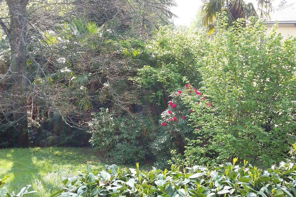 Vista del giardino
