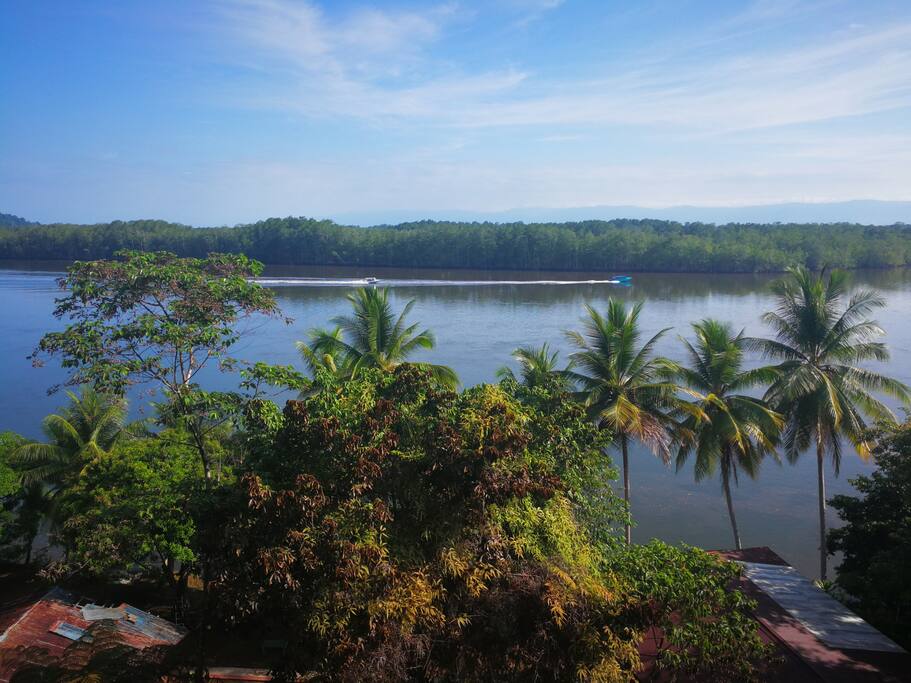 A view over the cabins of Sierpe River Camp, come join us in this natural paradise!