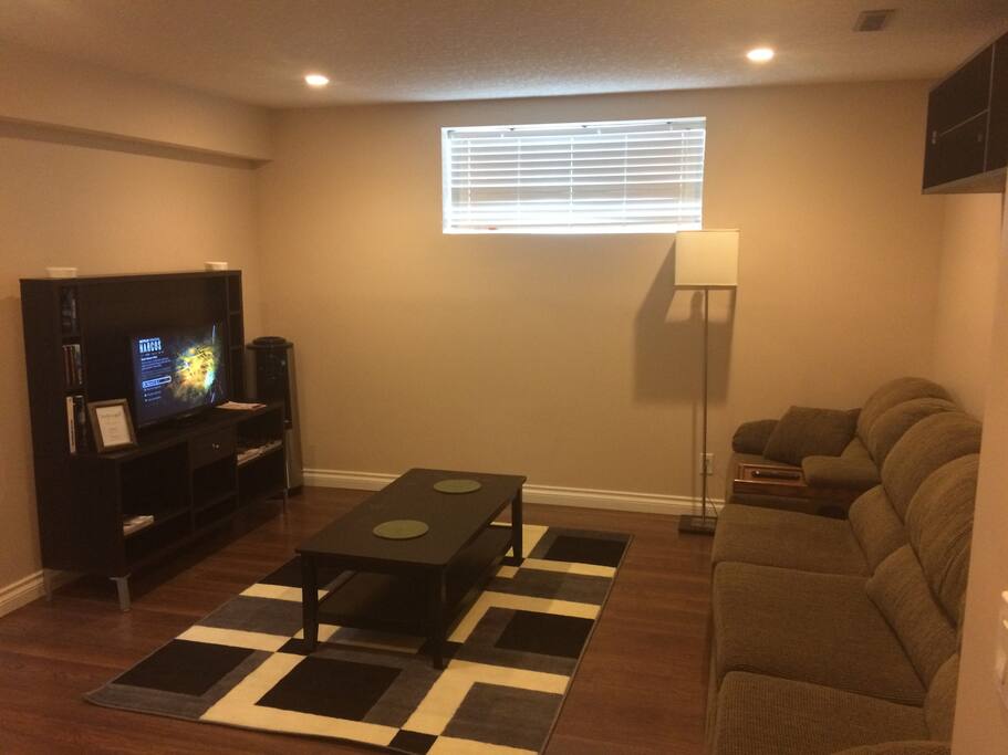 The living room with a pull-out sofa that can sleep 2 people
