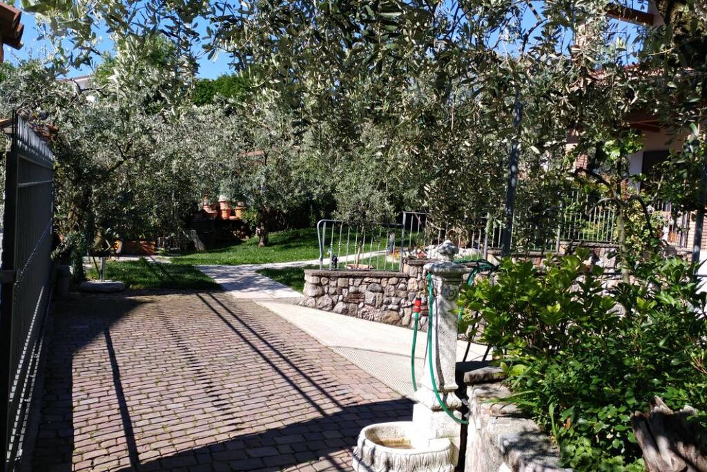 Giardino