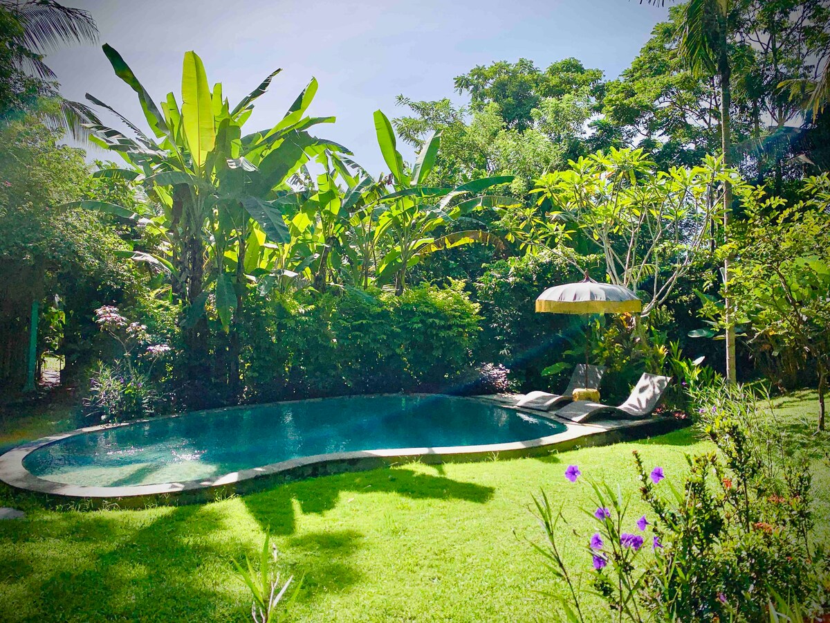 A shared pool is set within a lush garden, surrounded by tropical greenery. Sun loungers are positioned beside the pool, offering a comfortable space to relax. The vibrant colors of nearby plants and flowers add to the serene atmosphere, creating a peaceful outdoor retreat.