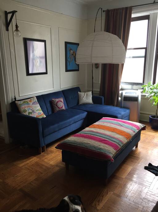 Living room (dog not included)