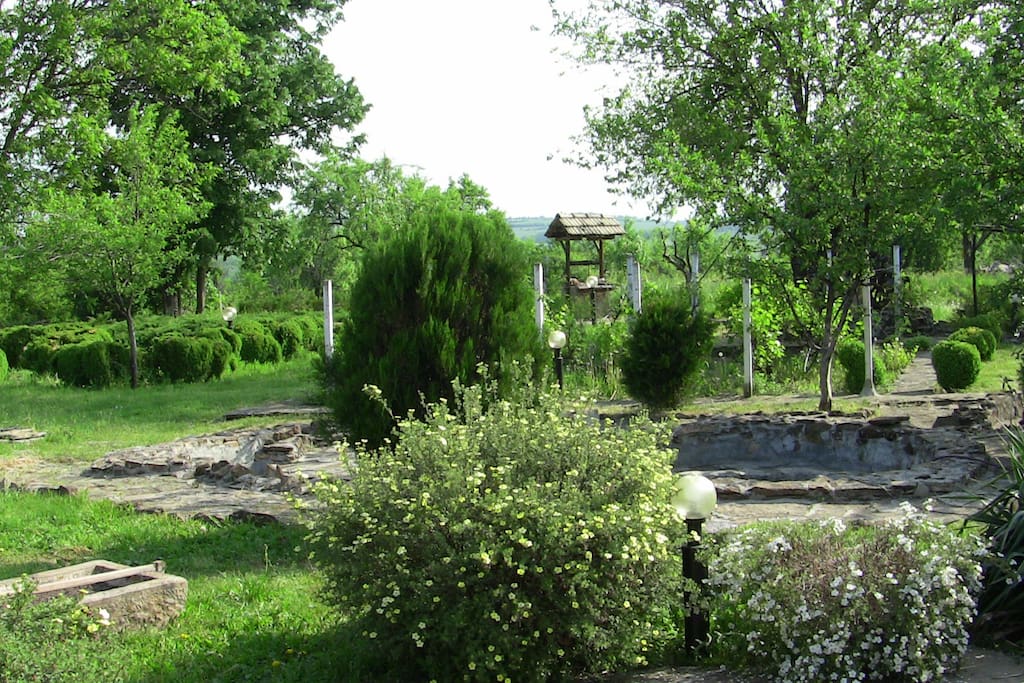 garden