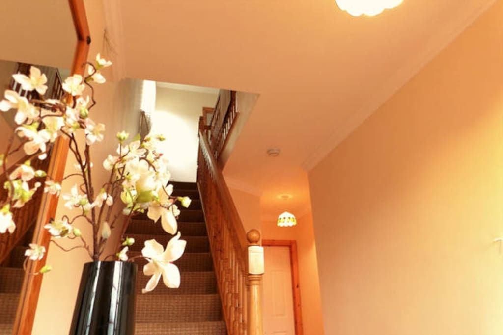 The Hallway