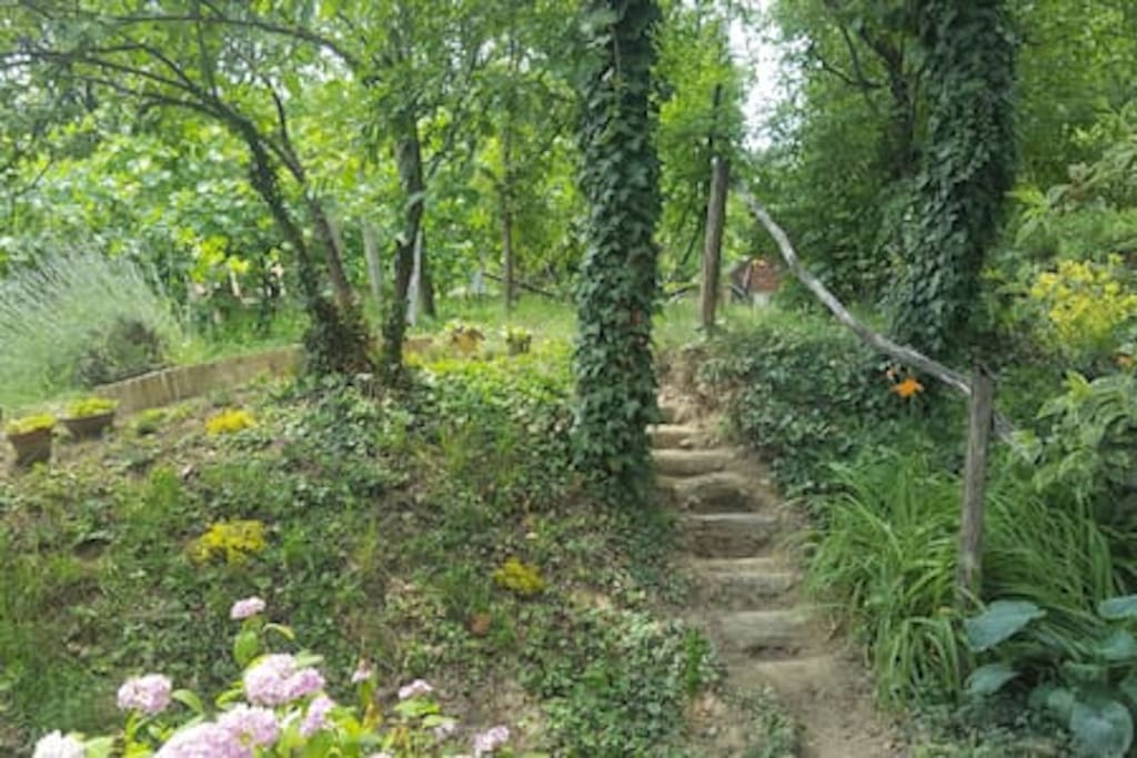 Quiet garden