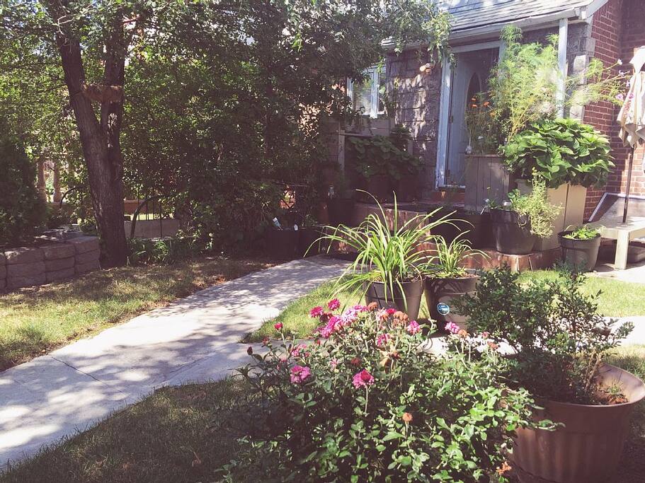 Front Yard