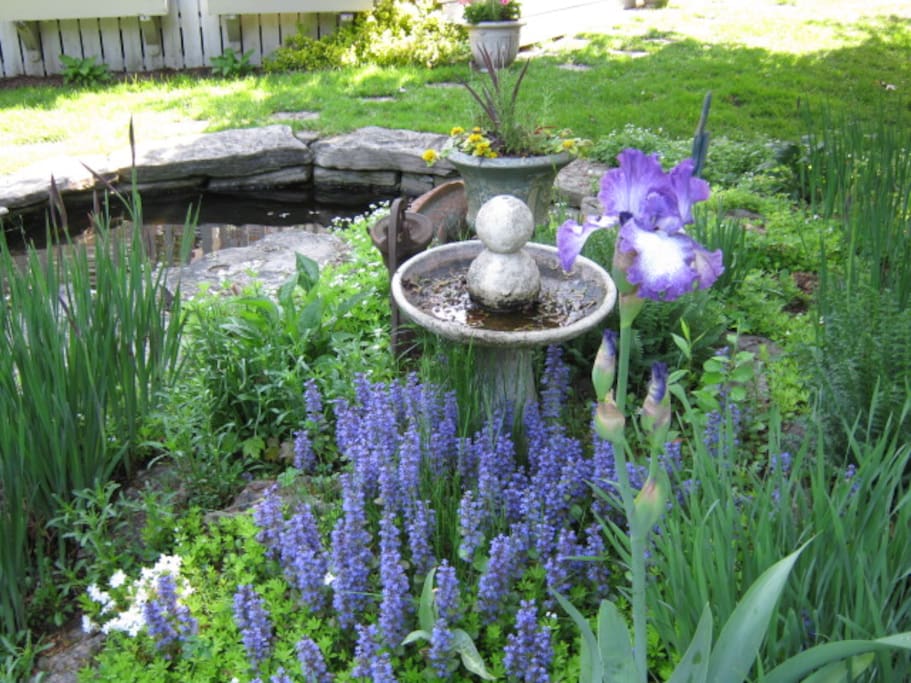 Fish pond