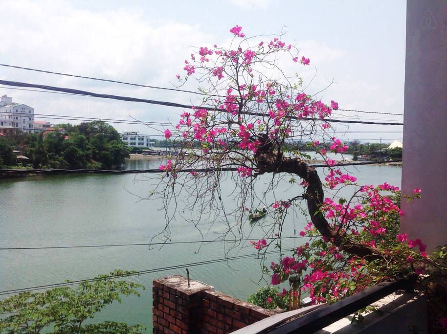 Sunny day
Riverview from Upstair balcony
