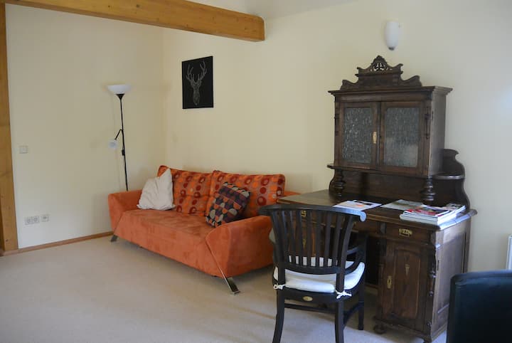 Ferienwohnung In Der Villa Blau - Rosenthal-Bielatal