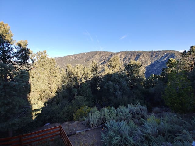 listing_image