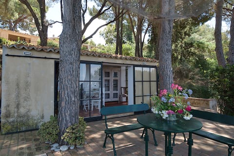 Casa Bocce