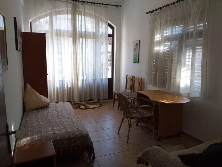 Habitación en planta baja con buena conexión a internet para nómadas que trabajan.