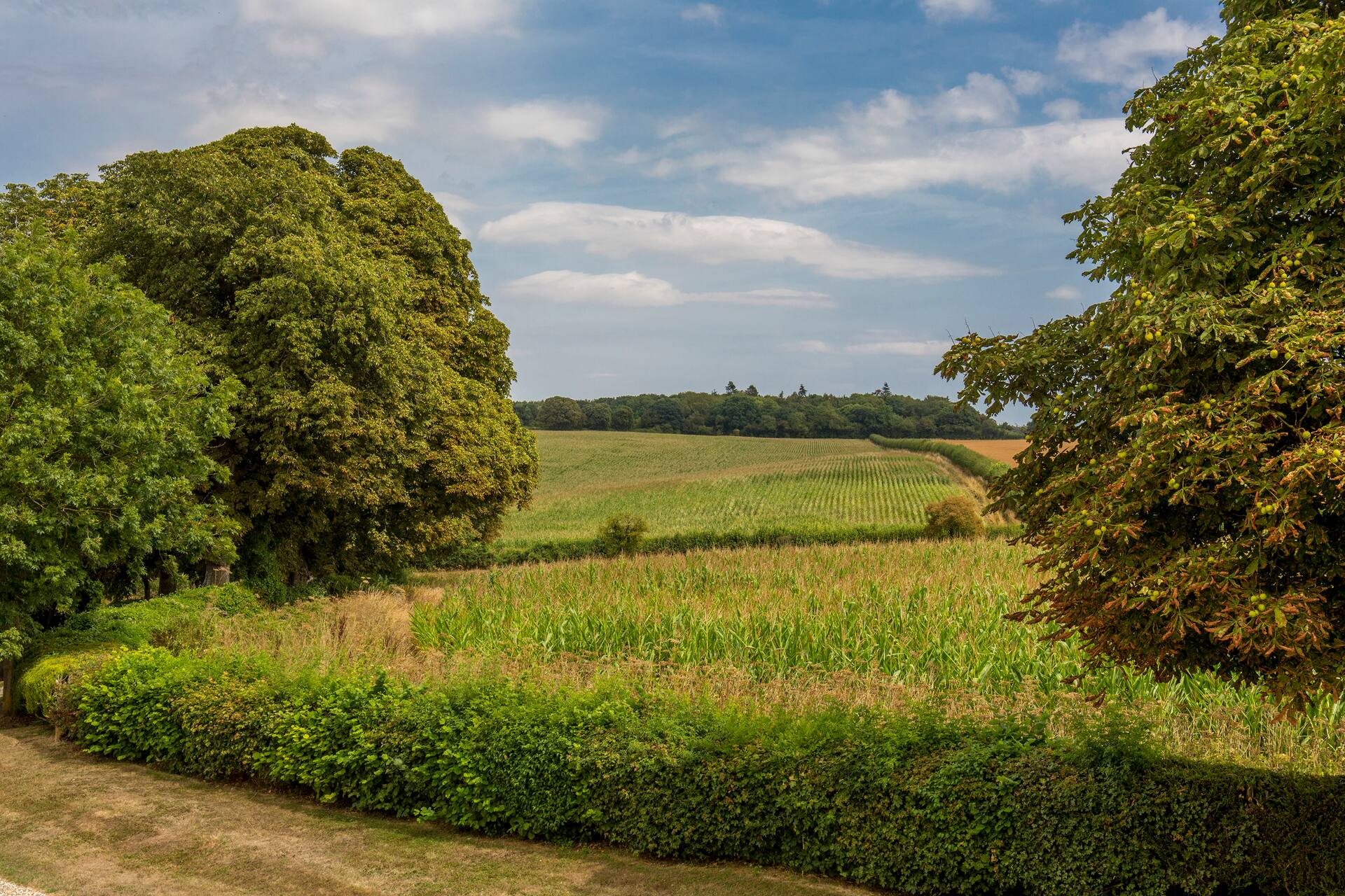 Maison de campagne offrant de magnifiques vues — photo 5