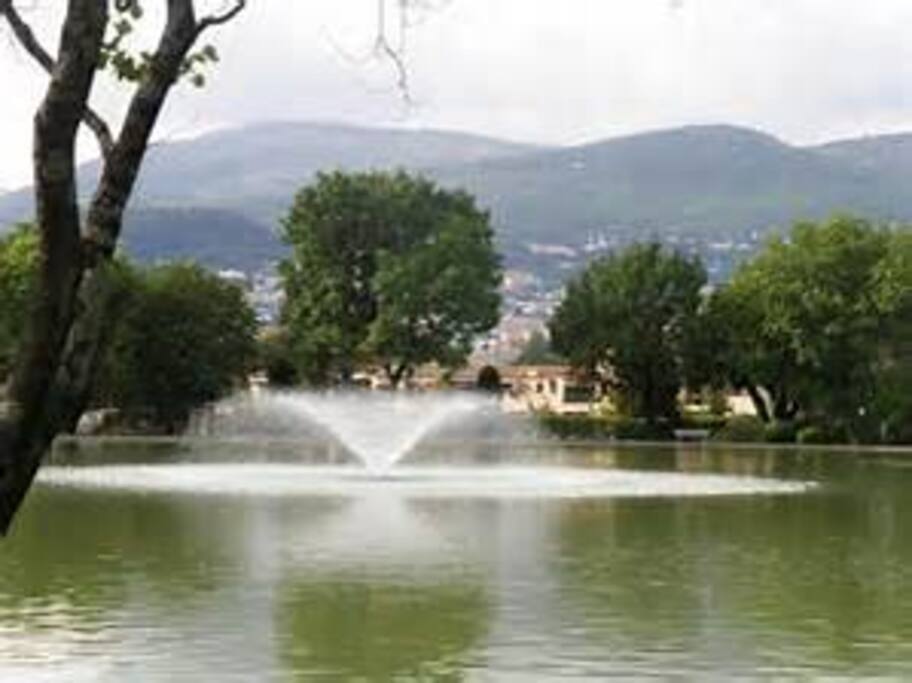 lac