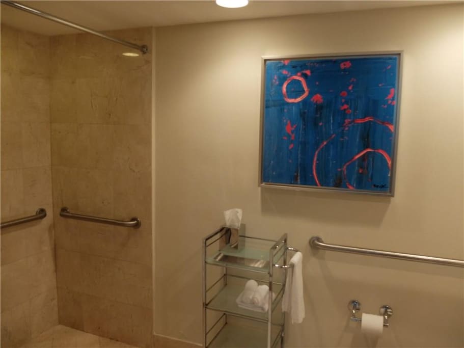 Bathroom with rolling chair access. Hair dryer.
