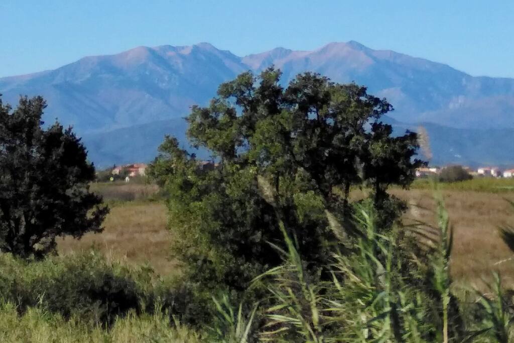 Le Canigou