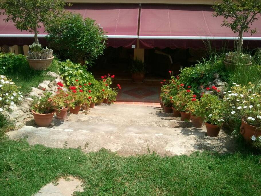 Patio