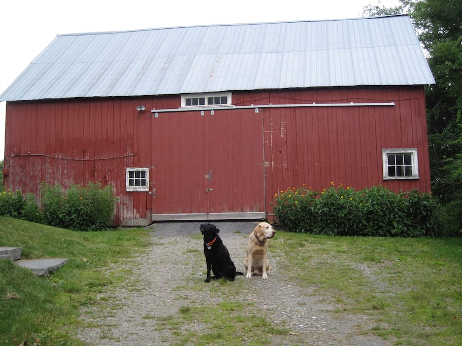 The barn