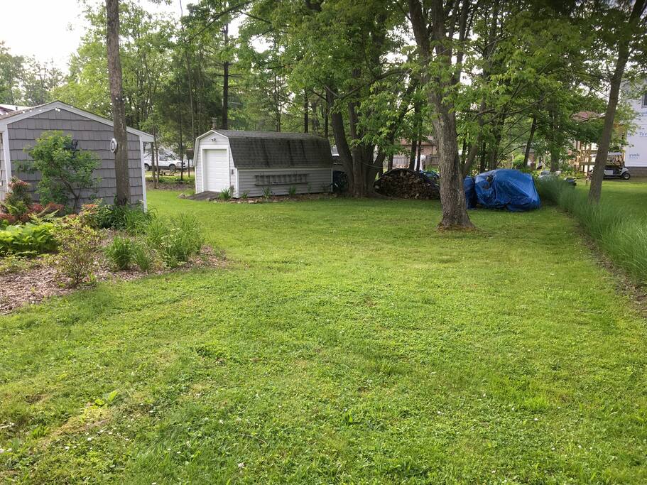 Back yard