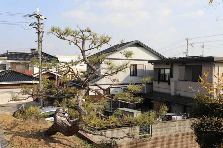 Airbnb爱彼迎 A Z民宿 独立房间 最多2人 临近关西机场 新装修 非常干净