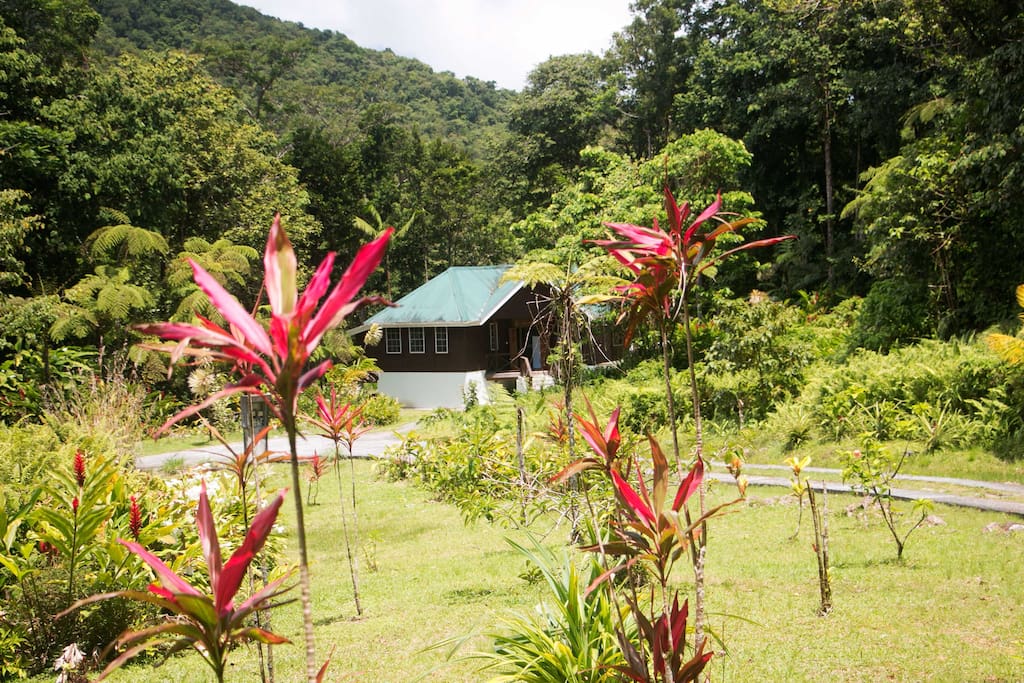 Jacko Cottage is awaiting you for your next nature bathing experience...