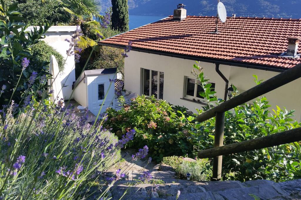Achterkant huis + tuin.