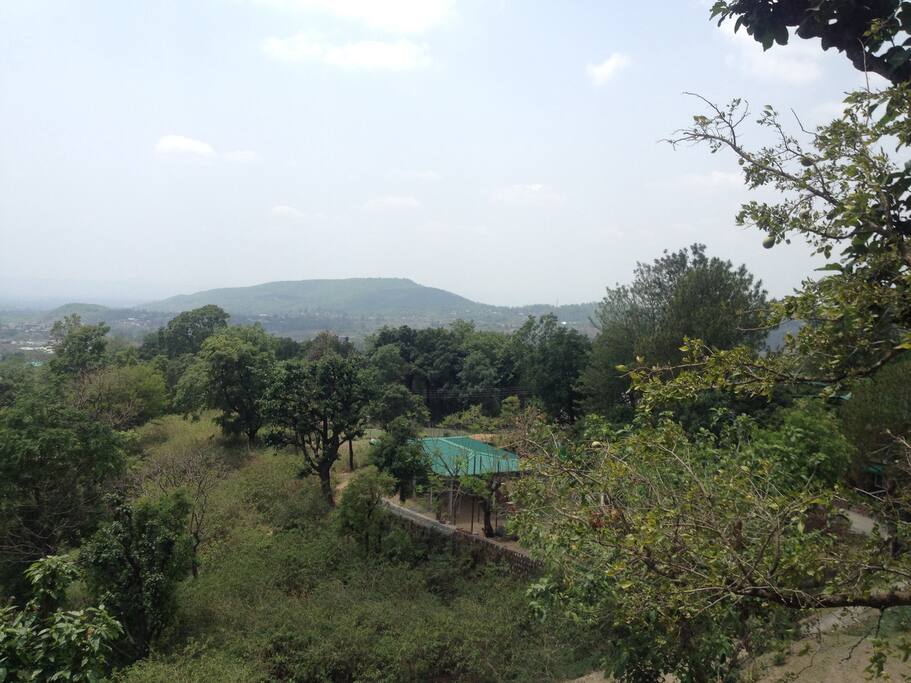 View from living room