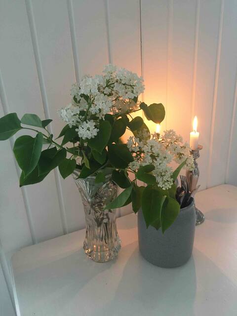 Top performing Airbnb: Cozy summer house in lovely nature. in Næstved