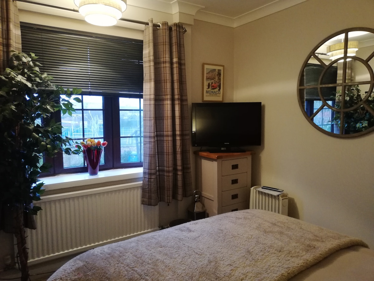 The room features a spacious bed covered with a plush blanket. A television is positioned on a wooden cabinet, and a decorative mirror is mounted on the wall. Natural light filters through the window, adorned with curtains, while a potted plant adds a touch of greenery.