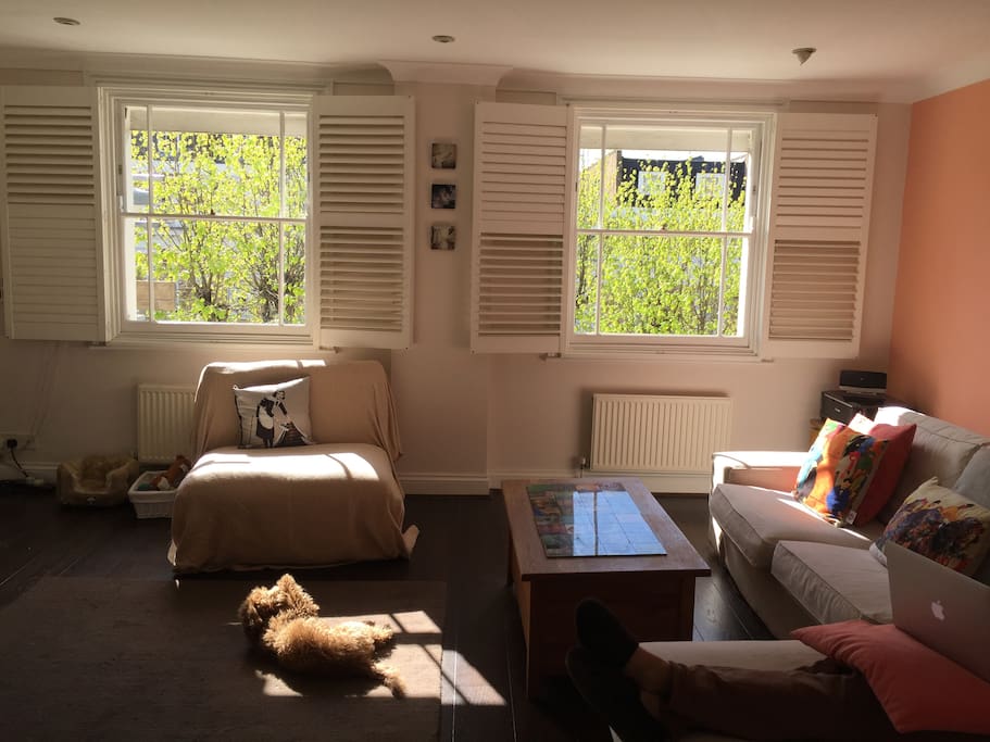 The Living Room