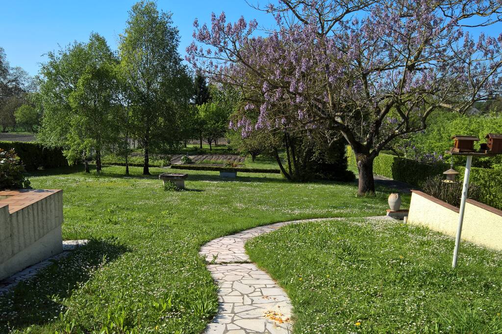 Jardin vu de la terrasse