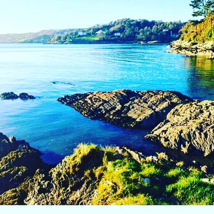 The cove at bottom of garden