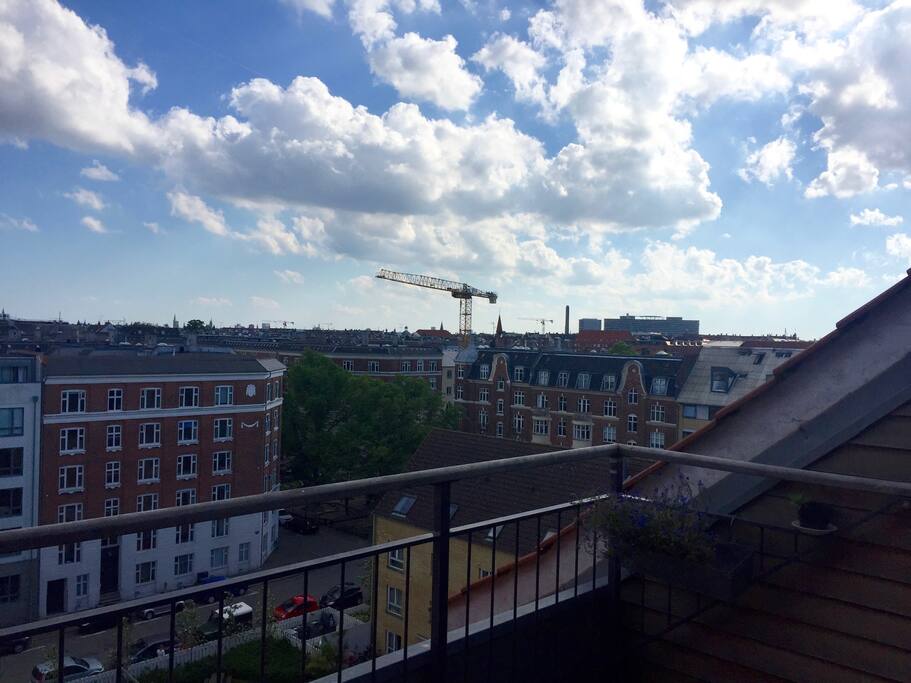 The view.