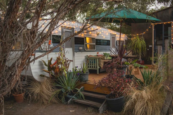 The Lily Pad –Vintage van in private bush serenity