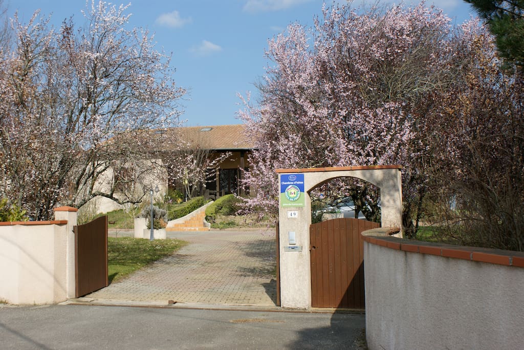 entrée