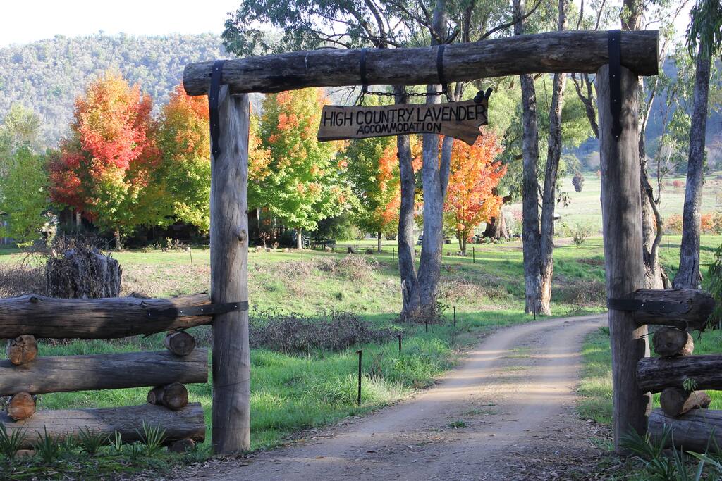 Entrance to Seventy
acres High Country Lavender