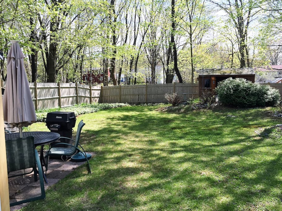 Fenced in backyard with patio and grill