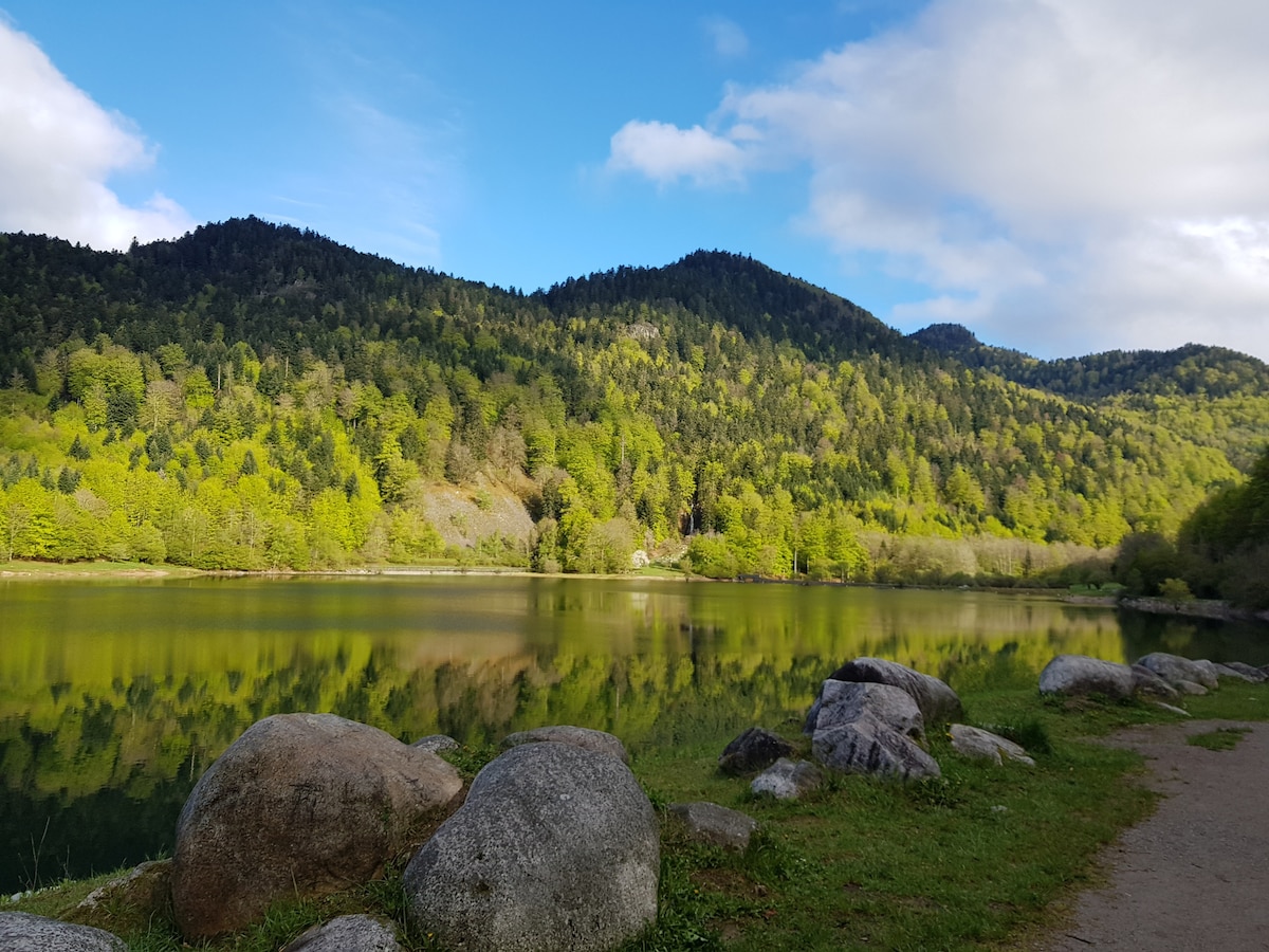 A serene landscape is captured, showcasing a calm lake bordered by smooth rocks. Lush greenery is reflected in the water, with rolling hills in the background under a partly cloudy sky. The scene invites tranquility and a connection to nature.