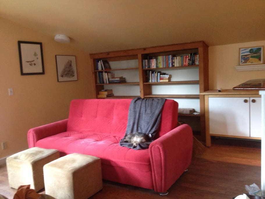 The couch in the living room flattens out to a queen bed.