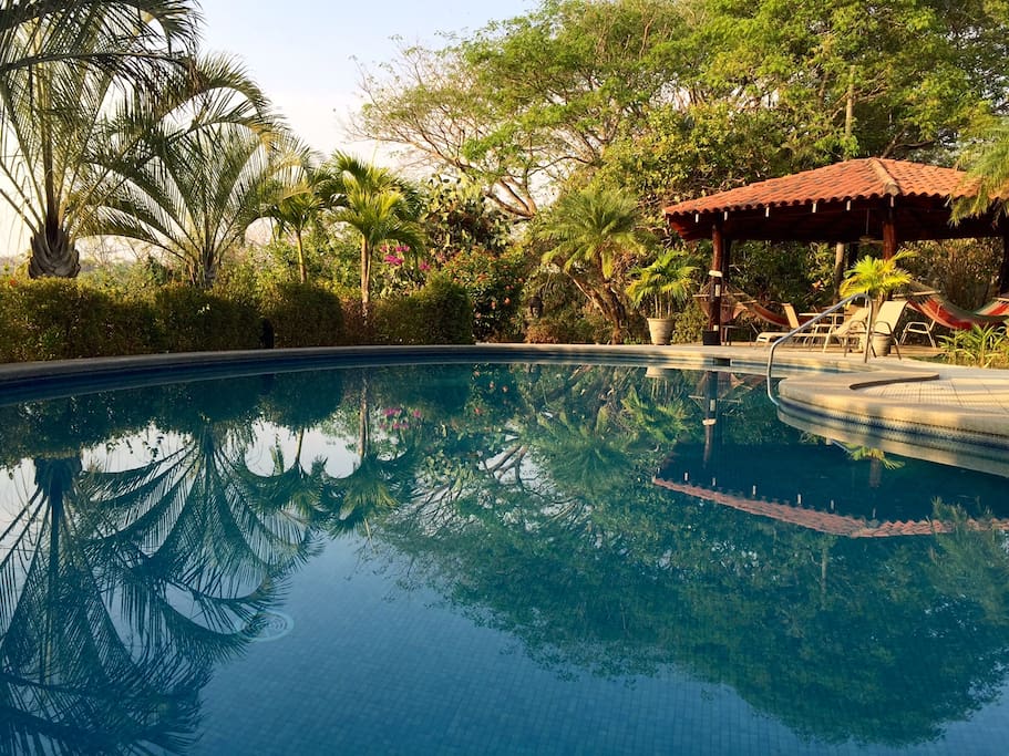 Your beautiful and private pool with plenty of outdoor furniture and hammocks