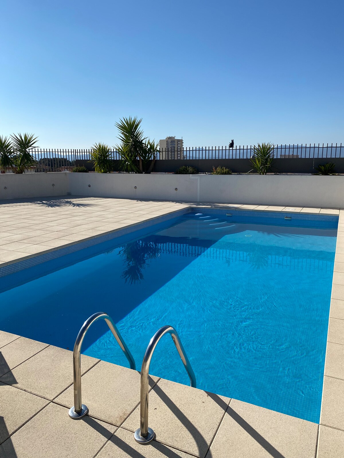 A rooftop pool is featured, surrounded by sunlit tiles and green plants. The clear water reflects the cloudless blue sky, and a set of stairs leads into the pool, inviting relaxation and enjoyment of the views.