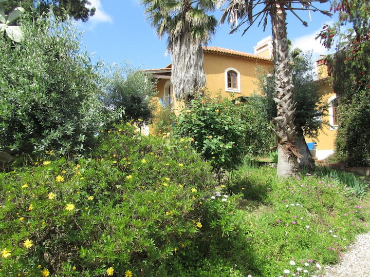 Iris b&b Casa Amarela
