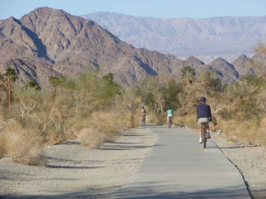 Hiking & Biking trails surround us! Bring your bikes!