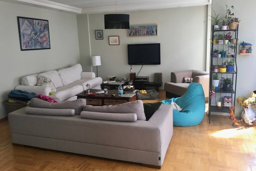 salon // living room 3