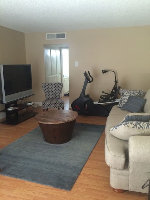 TV, couch, recumbent bike.