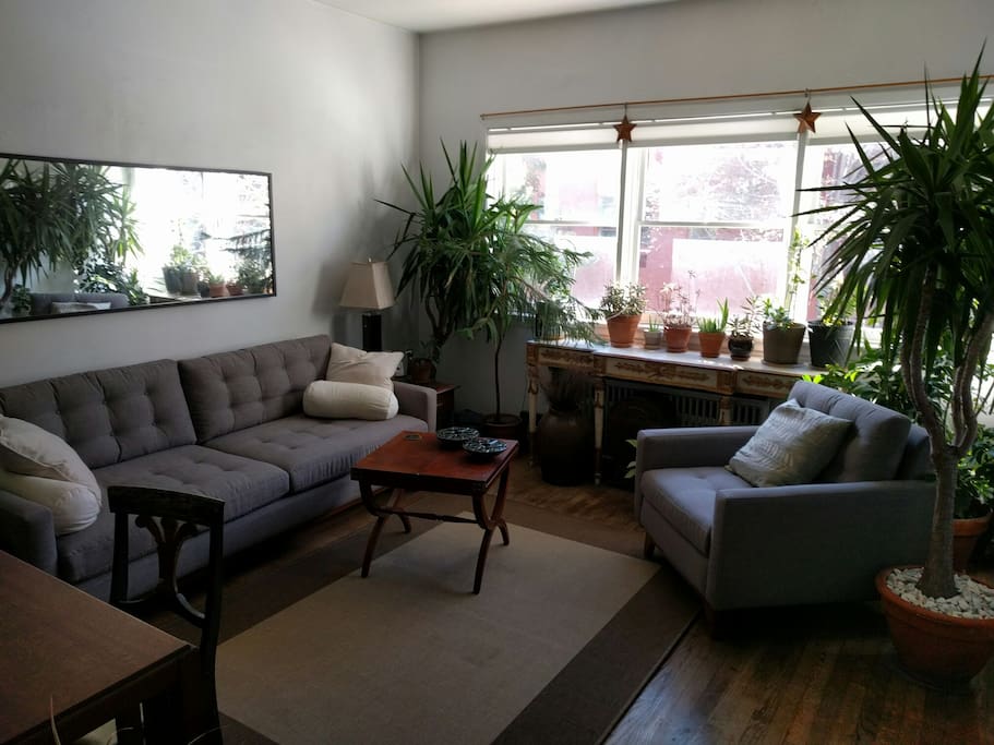 Cozy living room that turns into a greenhouse when the summer plants move in for the winter.