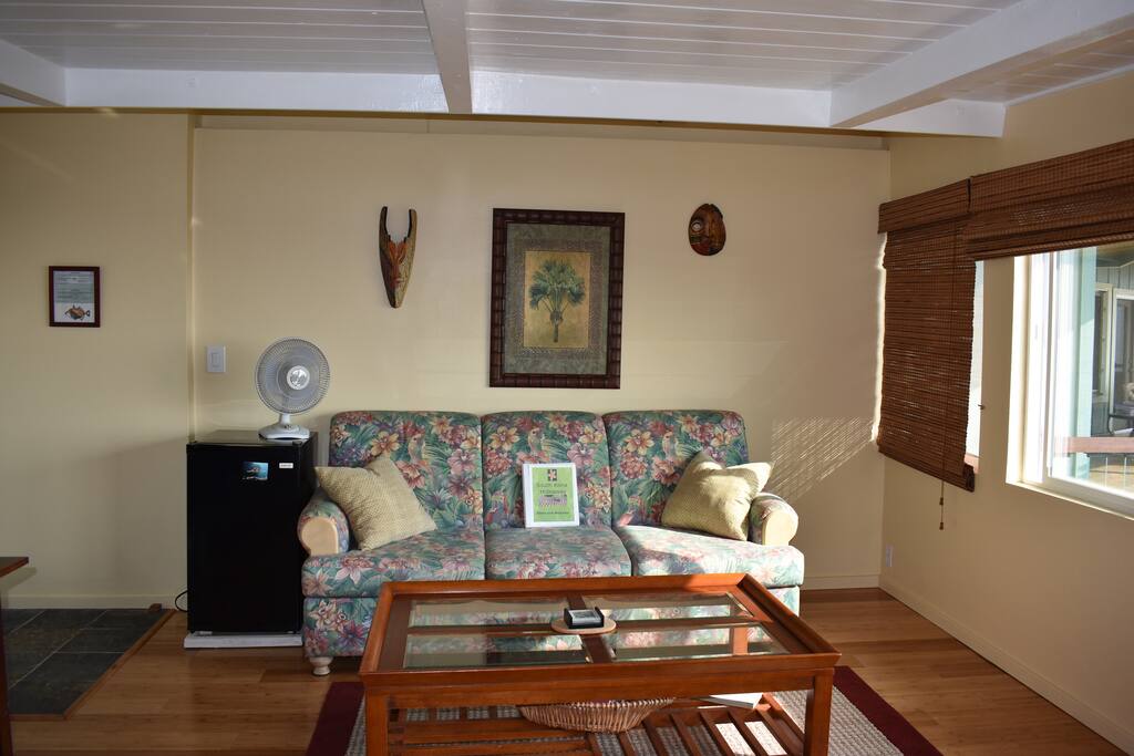 Living room with pullout couch. Bamboo floor throughout.