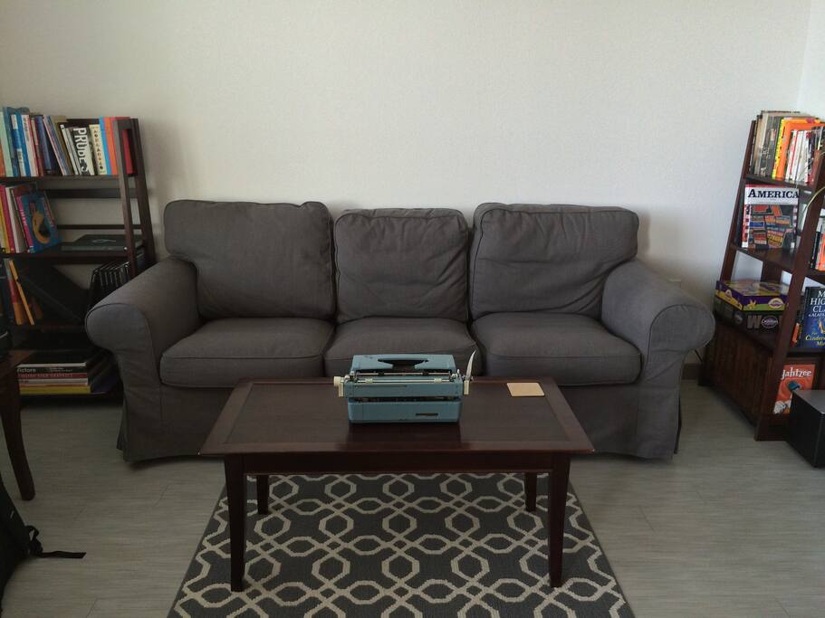 Living Room/Couch/Bed