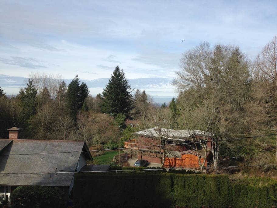 Daytime view from Living Room.