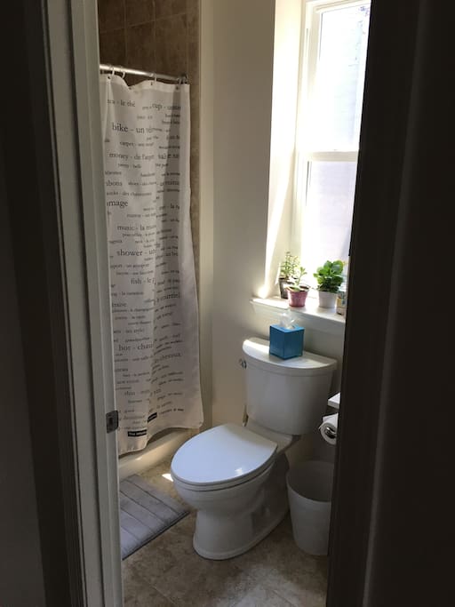 Bathroom (there are 2.5 in the house)